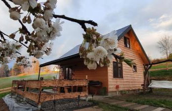 Chata DUDZIAKÓWKA - Foto 24