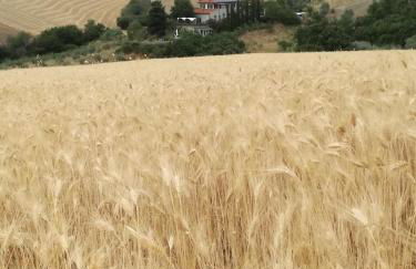 Agriturismo Podere il Fornacino - Foto 53