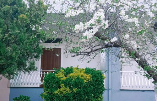 Rachel's guest apartments - Foto 6