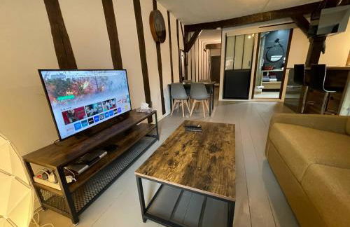 Appartements chez Delphine et Guillaume au coeur de Semur en Auxois - Foto 49