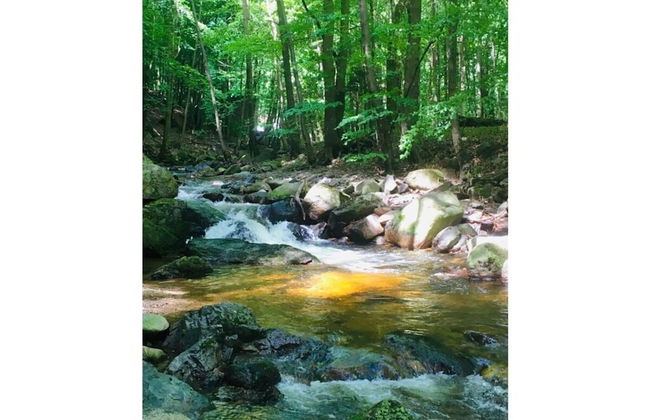 Villa _peacock Suite - Foto 7