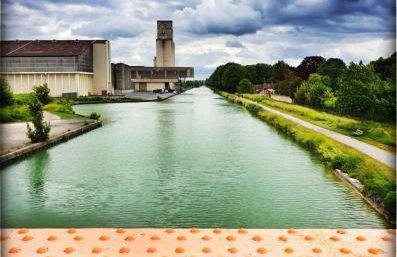 Les Rives Rémoises - Foto 59