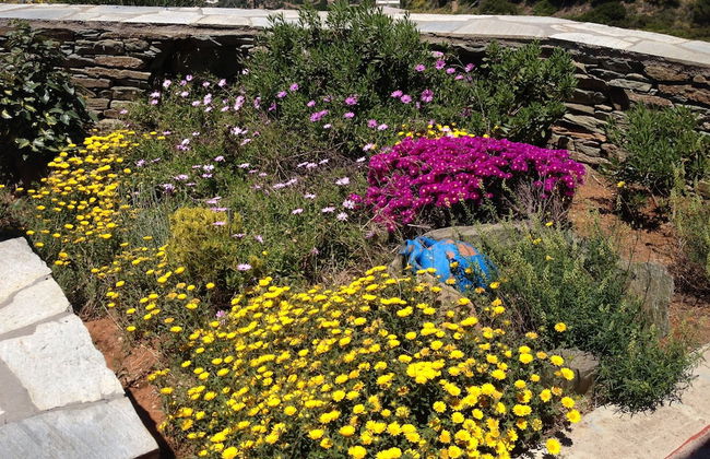 Villette Adonis - Foto 34