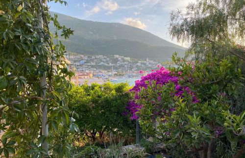 Antiklea Villa - Foto 39