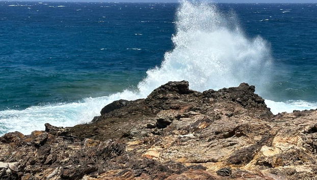 Jeep Wrangler Safari - Passeio Privado com Traslados - Foto 4