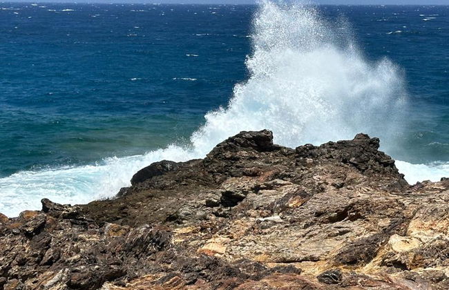 Jeep Wrangler Safari - Passeio Privado com Traslados - Foto 4