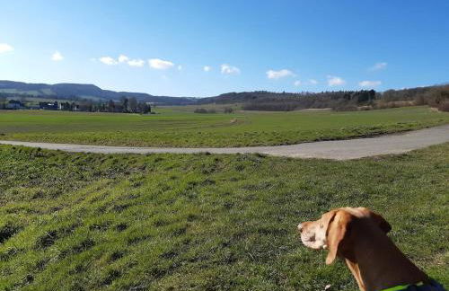 Fewo-Wittland Ferienwohnung mit Hund im Extertal - Foto 29