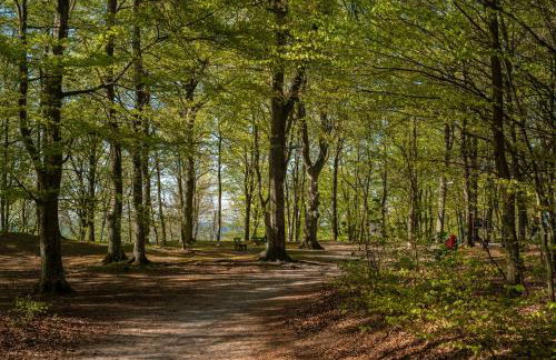 Apartament 11B Niebieskie Apartamenty z basenem krytym, odkrytym, salą zabaw, animacjami - Foto 36