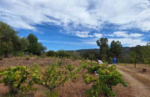 Quinta da Portela - Foto 24