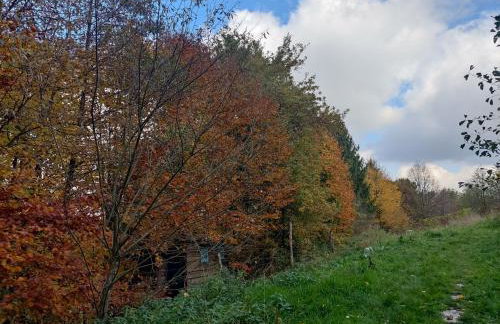 Zakątek u Basi - Foto 15