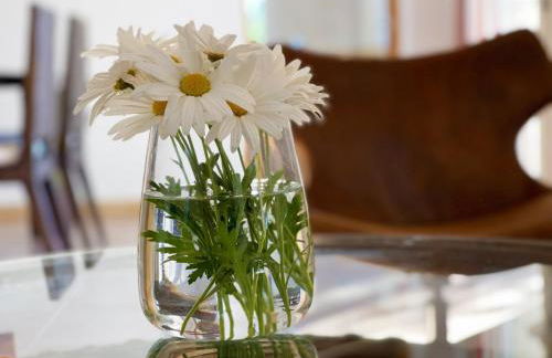 Finca Caseta Des Pradi Biel - Foto 14