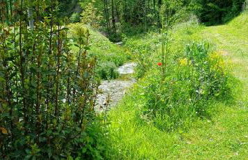 Casa Biron - Foto 64