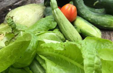 Charming Apartment in Abbateggio with Mountain View, 60 m² - Foto 18