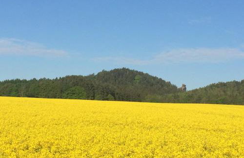 Ferienwohnung Gürth - Foto 37