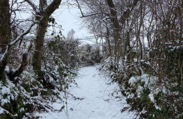 Bramble Cottage - Foto 20