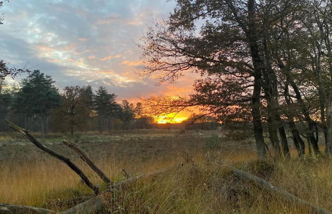 Holiday Home in Gelderland Near Nature Trails - Photo 34