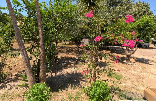 Kalliope Premium Apartment - Foto 14