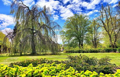 Ferienwohnungen Haus Sommerlust - Foto 23