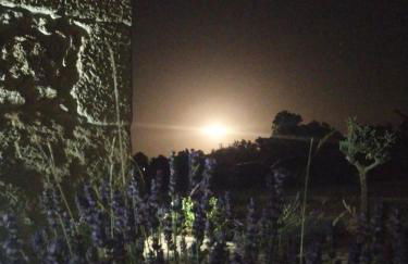 Casa D'Augusta - Agroturismo - Foto 66