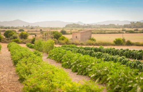 Finca Son Roig by Valentin - Foto 10