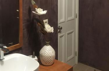 Estrelícia - Foto 24