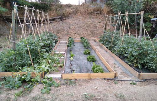 La Poderina - Foto 40