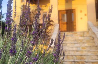 Ancient Greek Villa - Foto 8