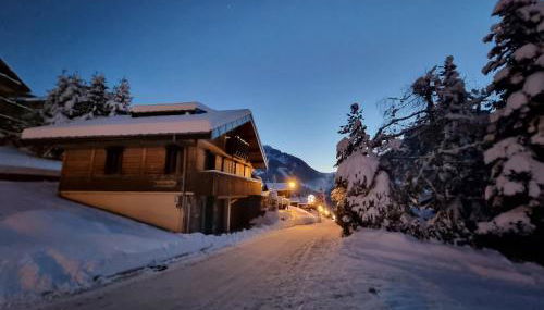 Chalet le Petit Ramoneur - Foto 2