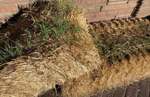 Grand Canyon Ranch Home - Western History - Big city lot - AC! - Photo 37