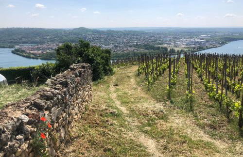 Condrieu et parking voiture vélo 2 ème étage - Foto 20