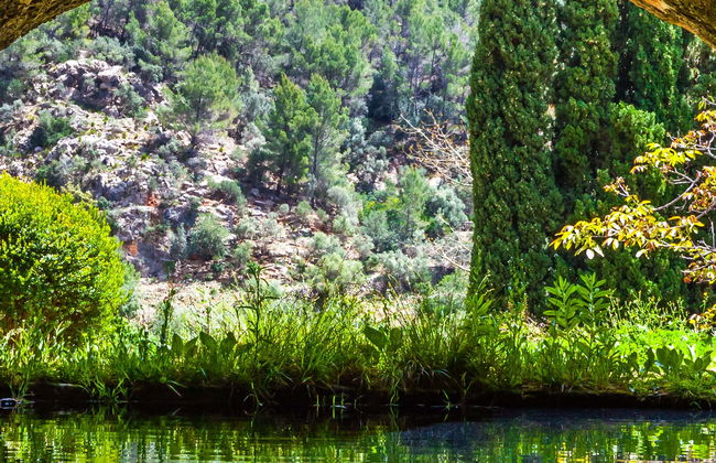 Entrada a los Jardines de Alfabia - Foto 1