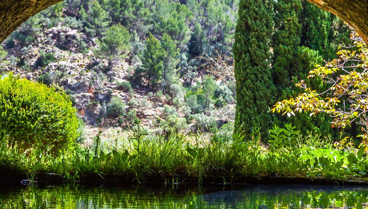 Biglietti per il Giardini di Alfabia