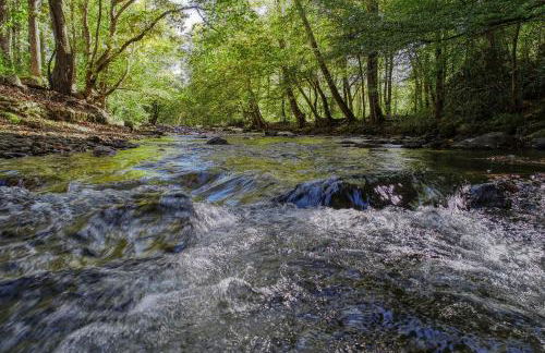 Wandering Creek - 2 Bedrooms, 1 Baths, Sleeps 6 Cabin by RedAwning - Photo 4