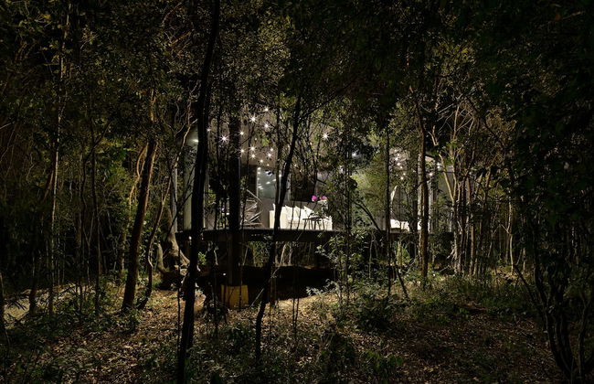 Glass 20.87 - Photo 54