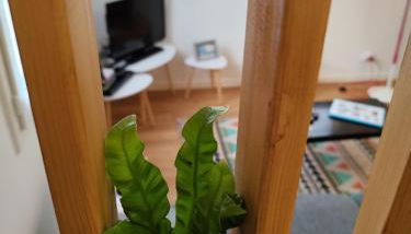 Proche gare et centre-ville de Poitiers Emplacement idéal - Foto 2