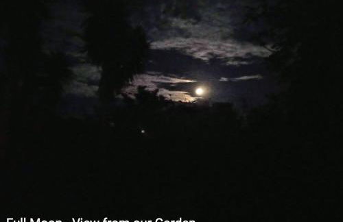 Prédio do Castelo - Photo 39