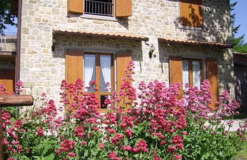 Agriturismo Il Falco del Monte Fumaiolo - Foto 48