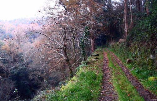 Casa do Vale de Cerdeiras - Foto 43