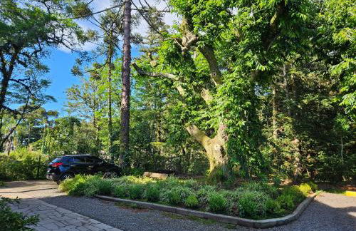 Cantinho das Oliveiras. - Foto 3