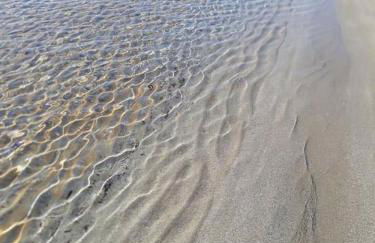 Villa Serena - Foto 54