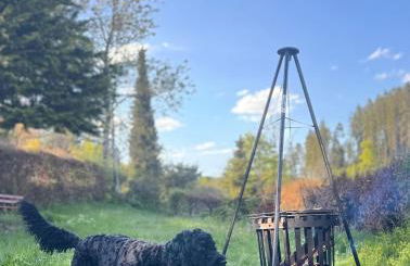 HAUS AM SEE - Natur Pur - Foto 24