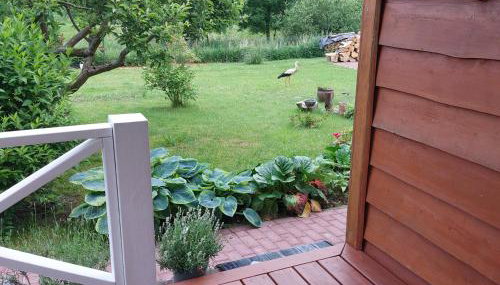 Storchenwiese Wald Meer Natur - Foto 4, Garden view