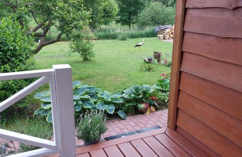 Storchenwiese Wald Meer Natur - Foto 4