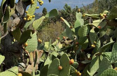 Sassi Di Fteri Villas - Foto 48