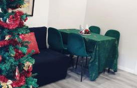 Amazing Apartment at Christmas Time - Photo 4