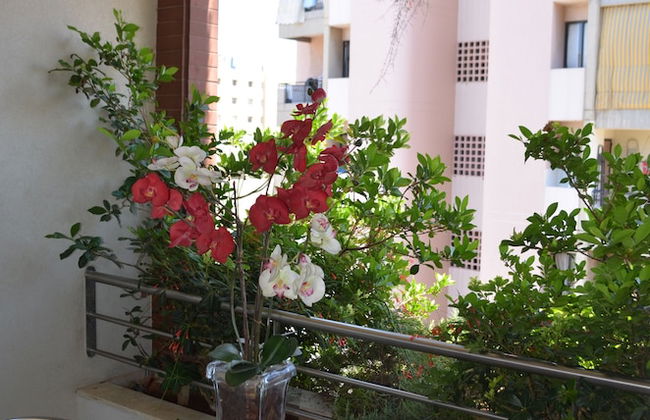 Nest 1 Hotel - Foto 13