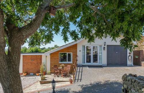 The Lantern Tree - Foto 23