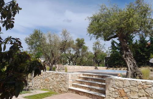 Nissi Collection Rooms - Foto 49