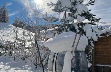 Chalet Hermine - Foto 57