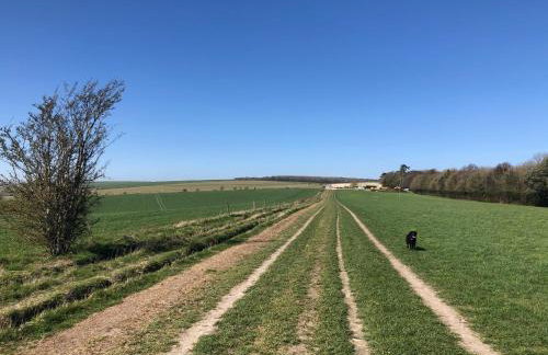 The Dog and Trout - Foto 20